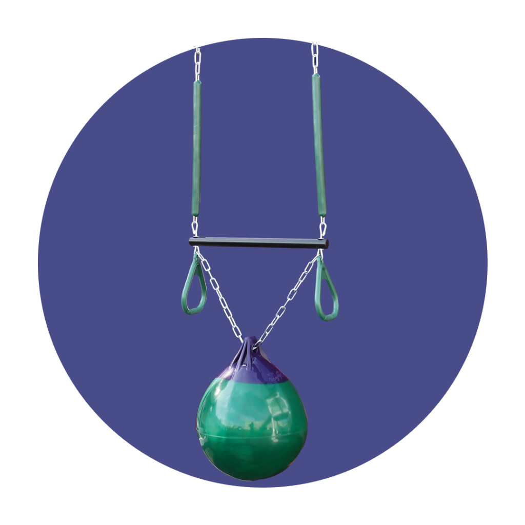 Buoy ball and Trapeze bar combo